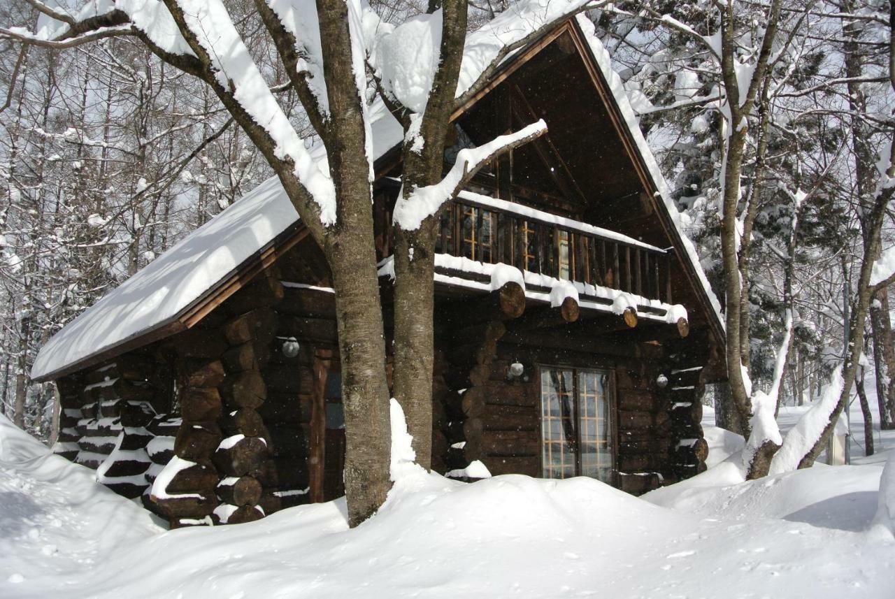 אפרטהוטל Shinano  White Tree Log House Madarao Tangram מראה חיצוני תמונה
